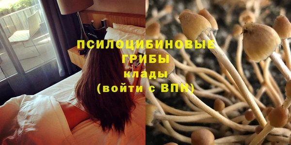 герыч Алзамай
