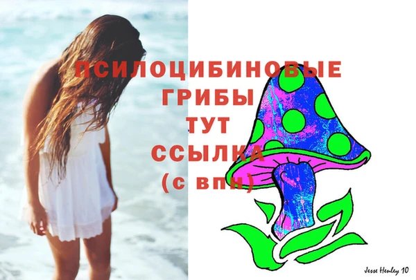 герыч Алзамай