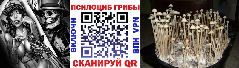 гидра сайт  Мостовской  Галлюциногенные грибы Cubensis  дарнет шоп 